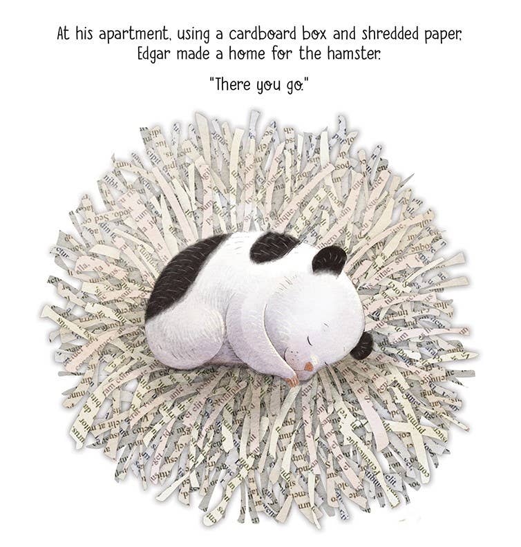Hanukkah Hamster picture book