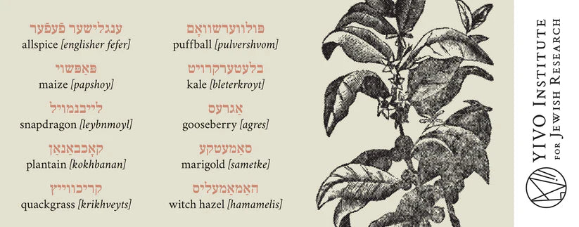 Yiddish Plants Mug