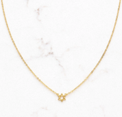 Teeny Tiny Star of David Necklace: Gold Vermeil Linear