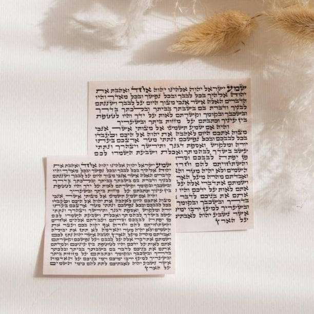 suri-mezuzah-klafim-open-natural-background.jpg